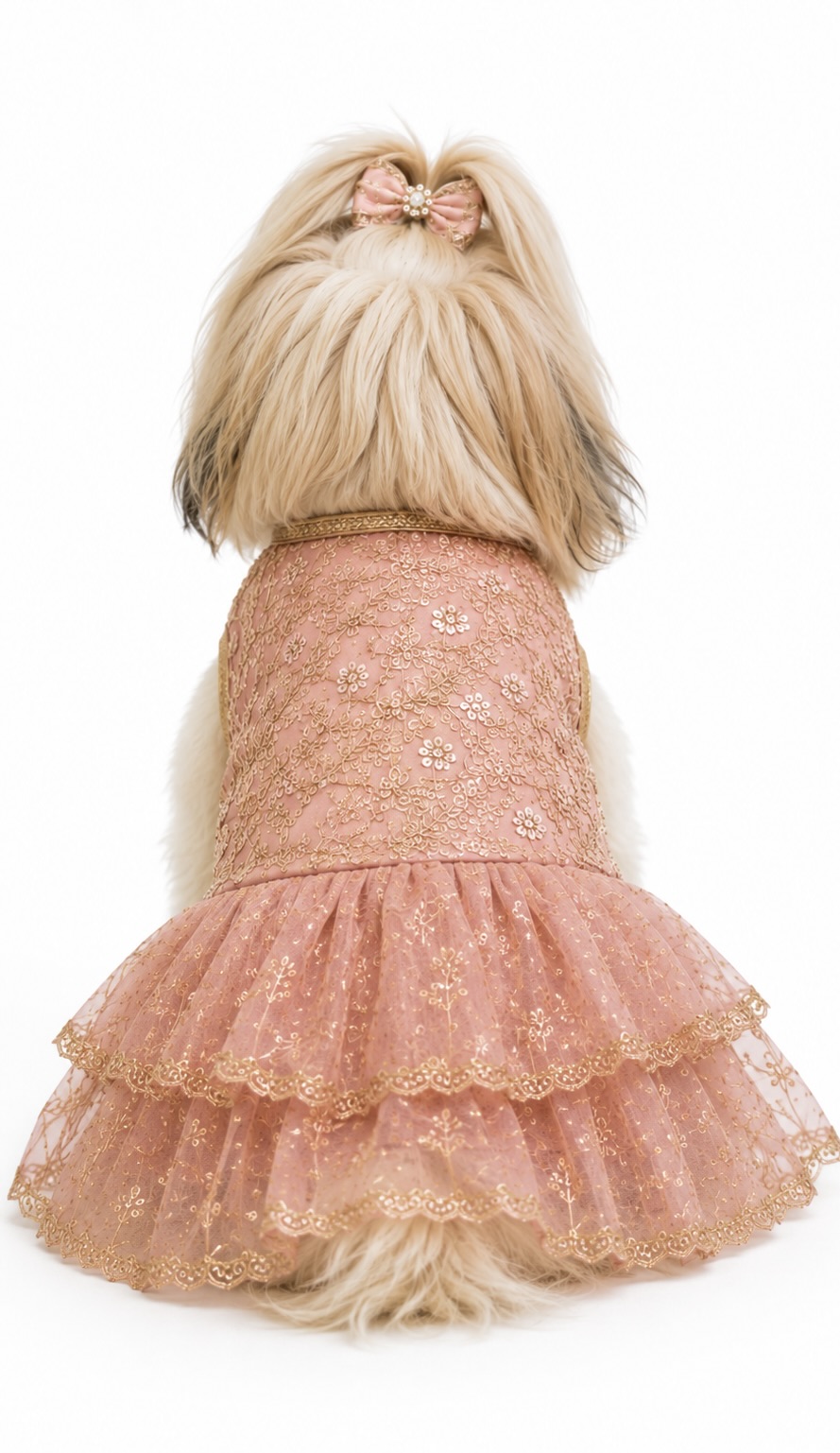 Gulabi — Blush Sequin Frock